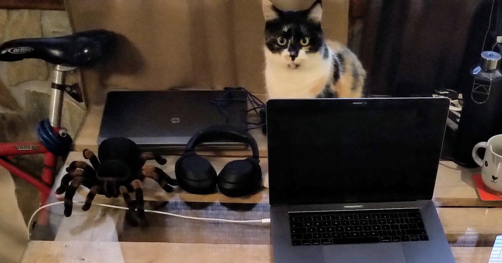 Proekspert remote work diary: week 3