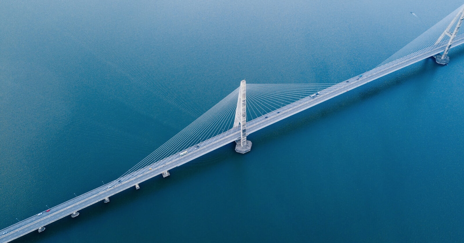 Build a resilient business with the help of technology