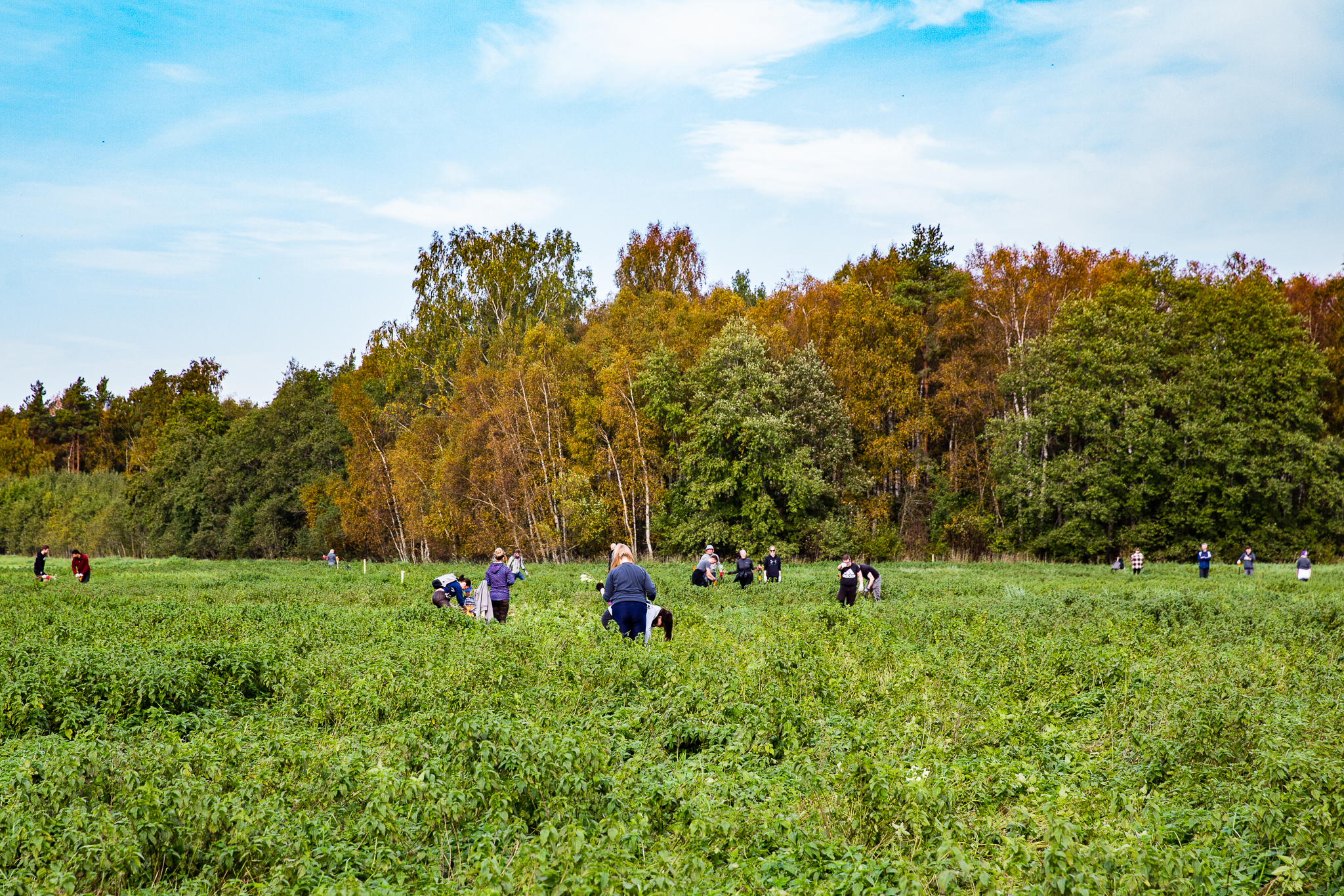 600 of 1,200 trees planted: Not even Corona can stop us!